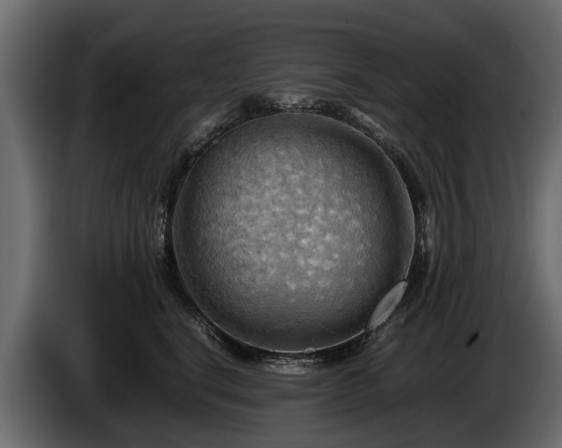 X0000085740664200703231111