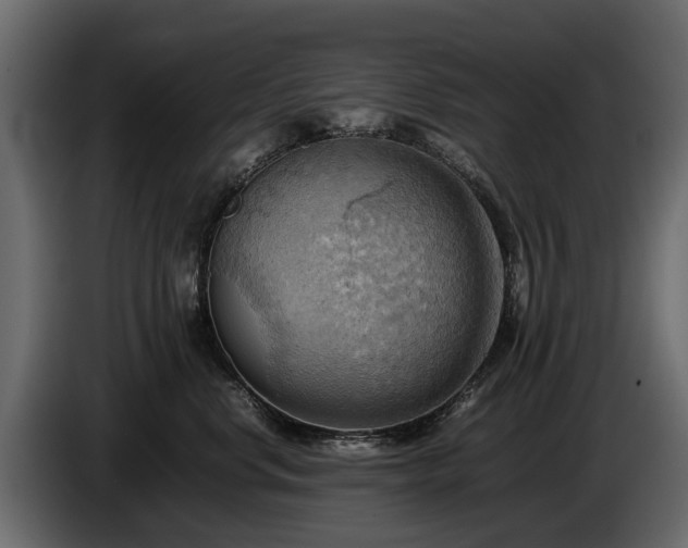 X0000085740668200703231111