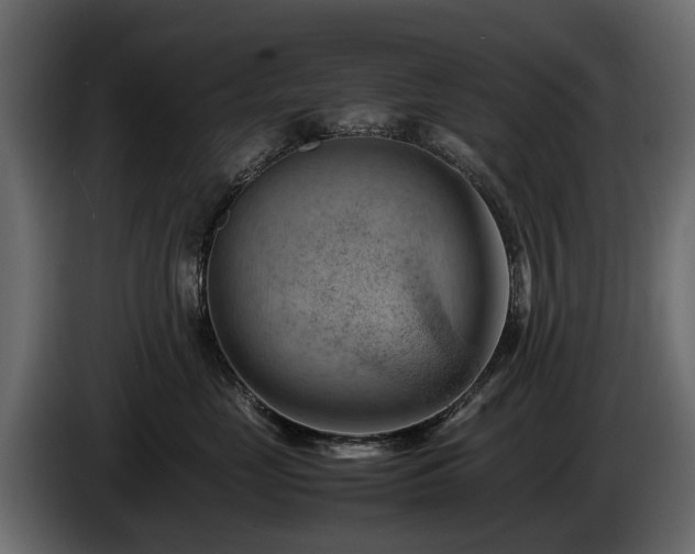 X0000085740669200703231111