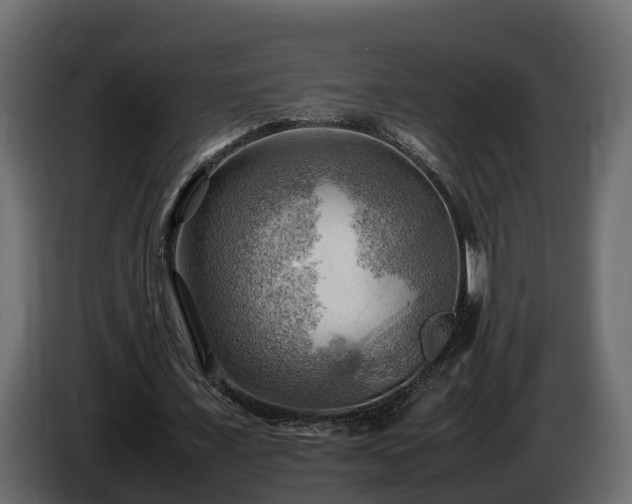 X0000085740675200703231111