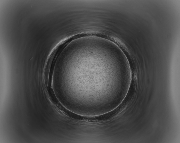 X0000085740676200703231110