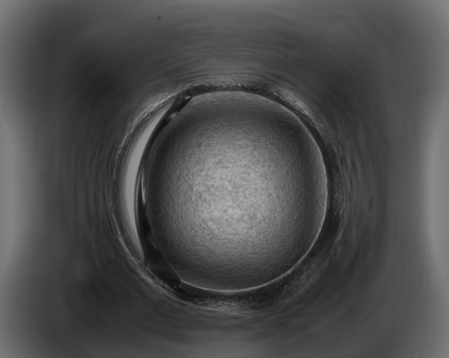 X0000085740677200703231110
