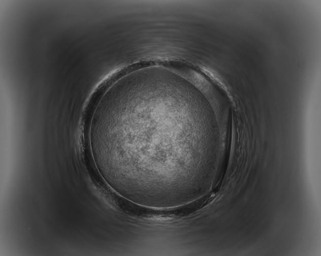X0000085740680200703231110