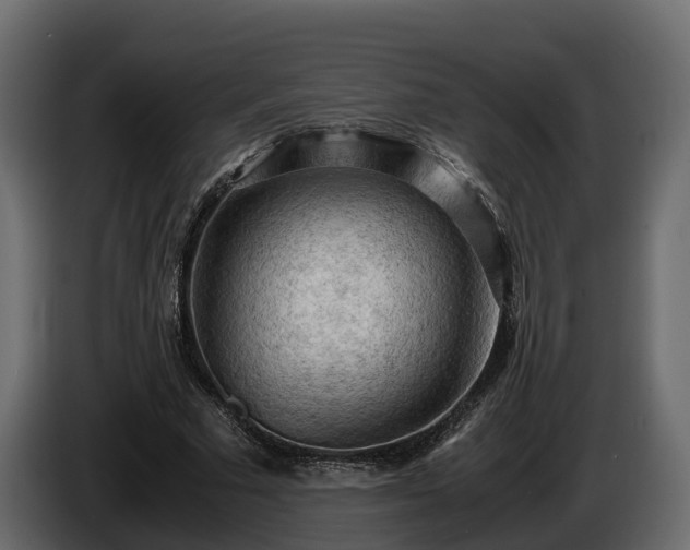 X0000085740681200703231110