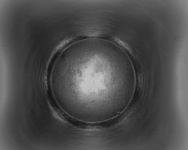 X0000085740682200703231110