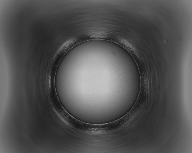 X0000085740686200703231110