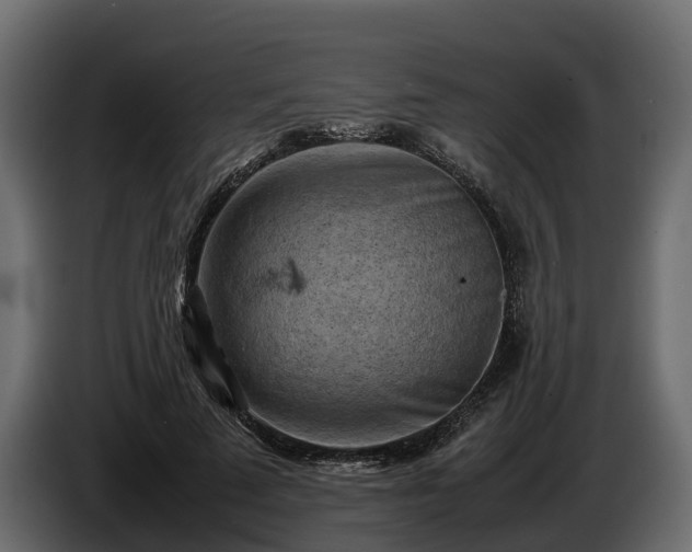 X0000085740689200703231110