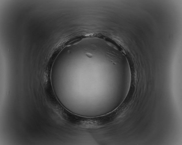 X0000085740691200703231110