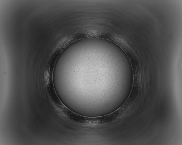 X0000085740694200703231110