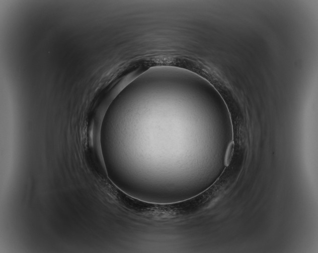 X0000085740697200703231110