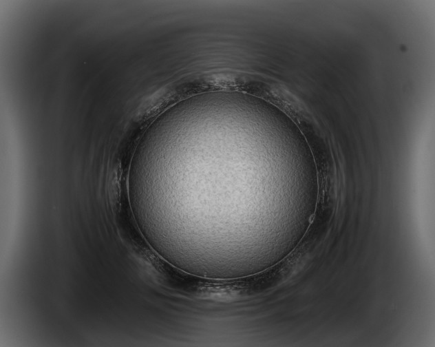 X0000085740702200703231110