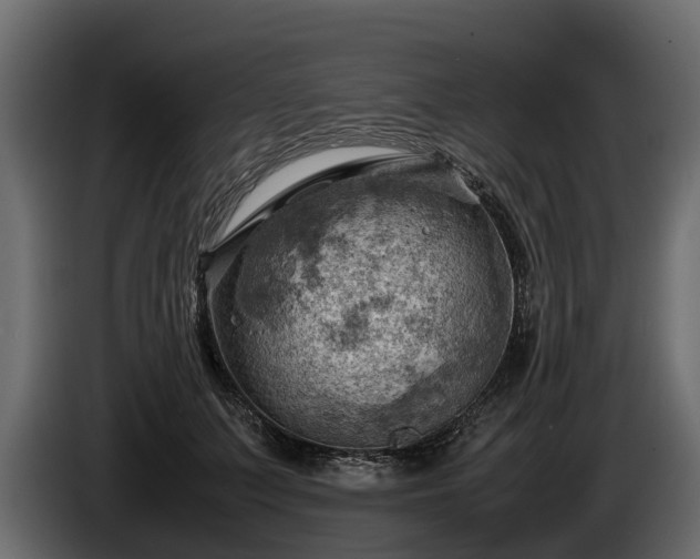 X0000085740703200703231110