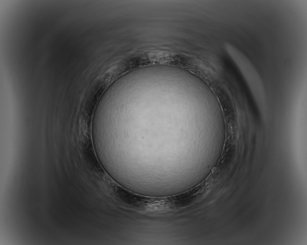 X0000085740705200703231110