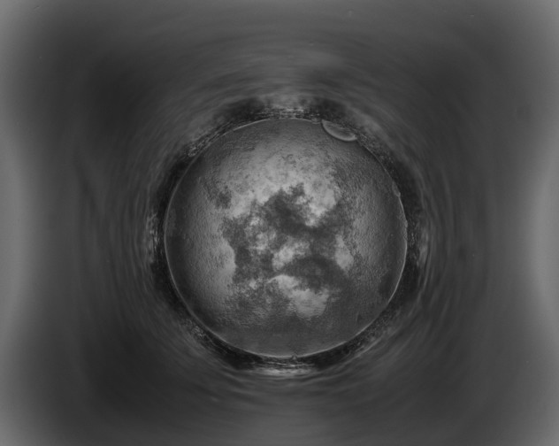 X0000085740707200703231110