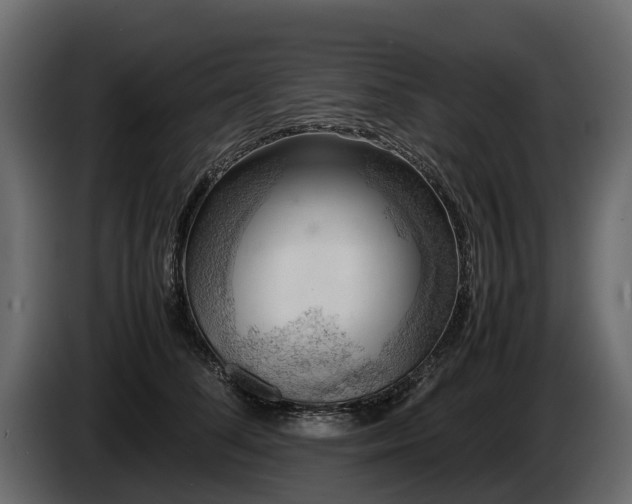 X0000085740708200703231110