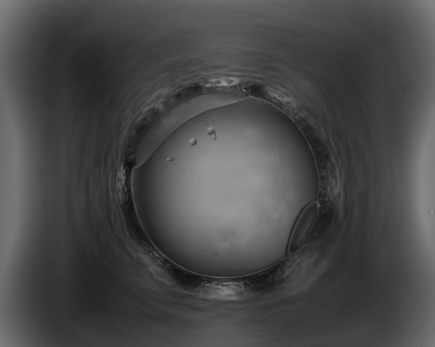 X0000085740711200703231110