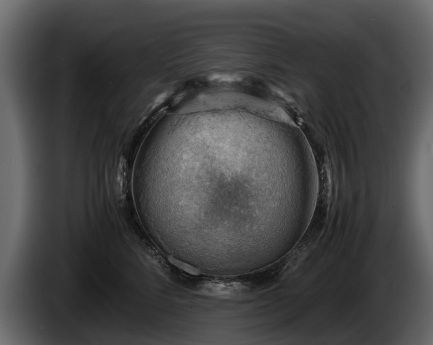 X0000085740712200703231110