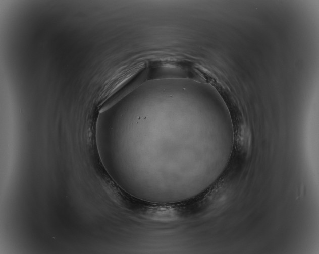 X0000085740715200703231110