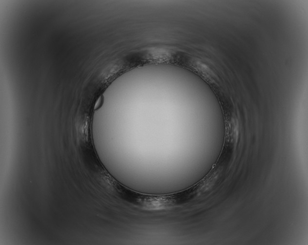 X0000085740717200703231110