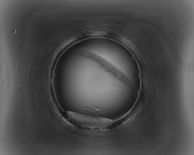 X0000085740721200703231109