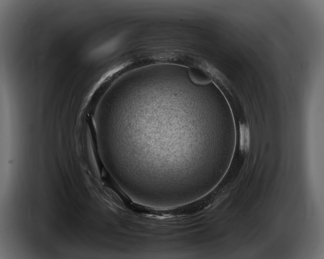 X0000085740723200703231109