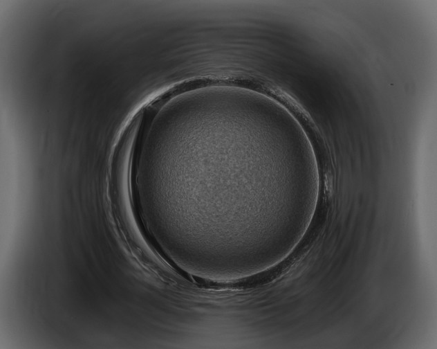 X0000085740724200703231109