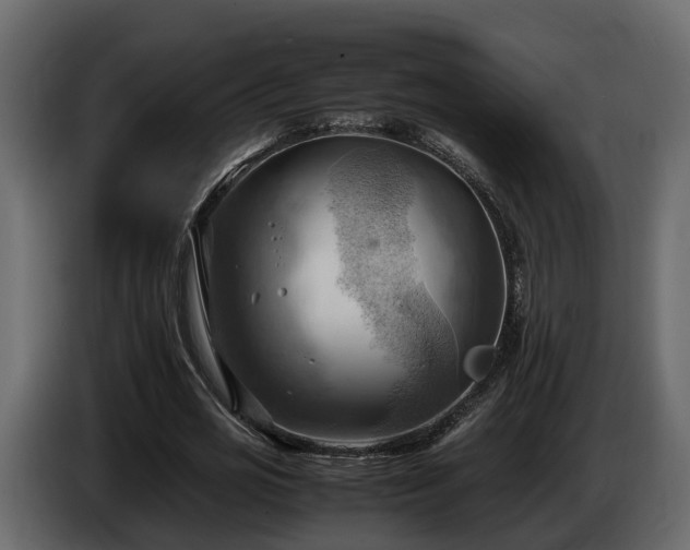X0000085740725200703231109