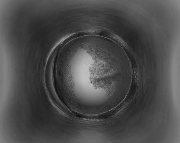 X0000085740726200703231109