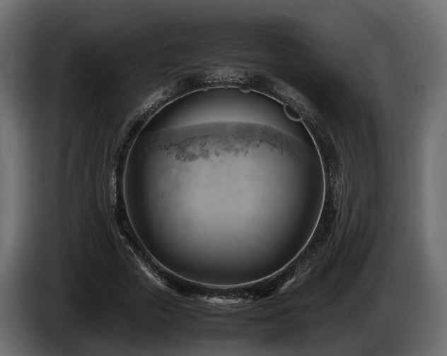 X0000085740729200703231109