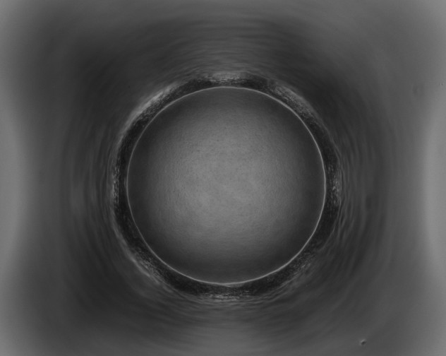 X0000085740732200703231109