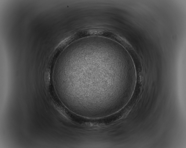 X0000085740733200703231109