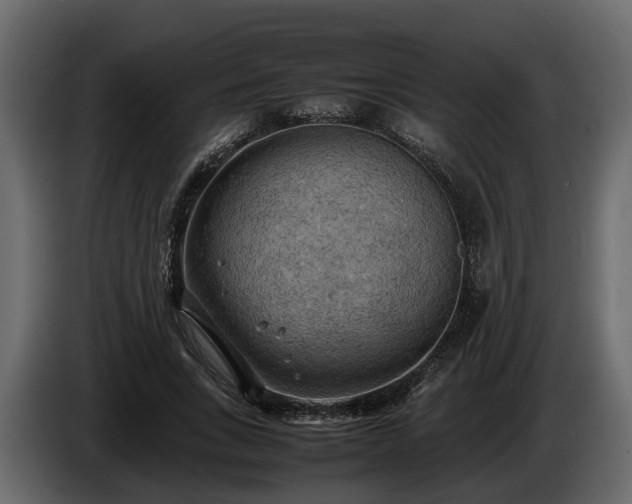 X0000085740735200703231109