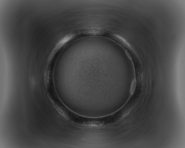 X0000085740736200703231109
