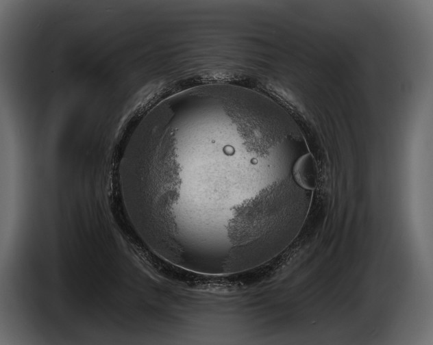 X0000085740738200703231109