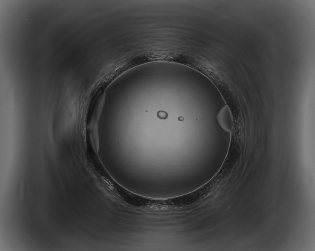 X0000085740742200703231109