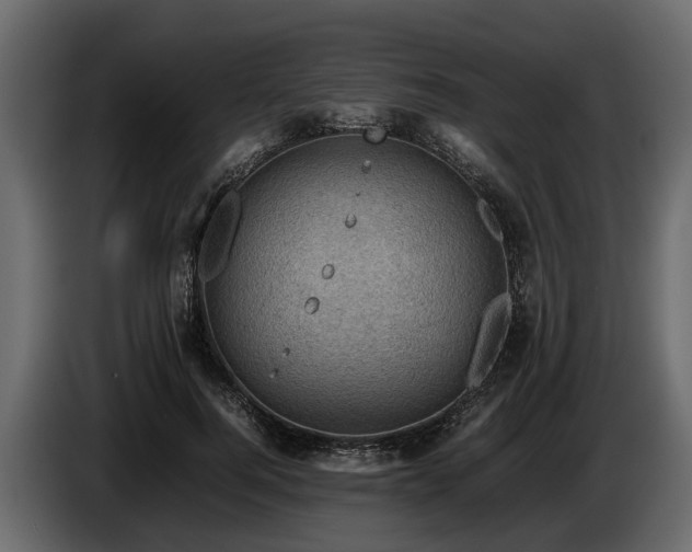 X0000085740744200703231110