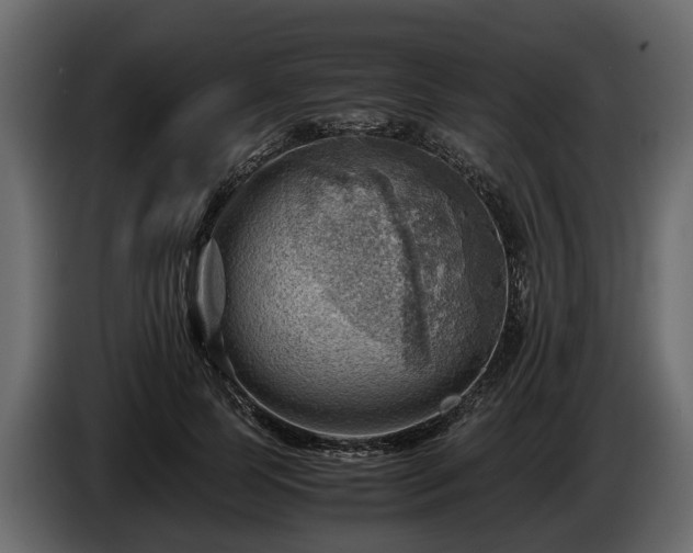 X0000085740745200703231110