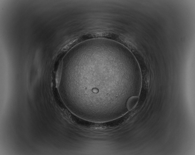 X0000085740746200703231110