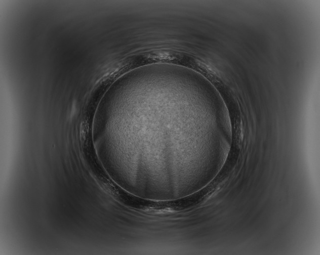 X0000085740747200703231110