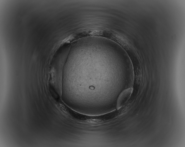 X0000085740748200703231110
