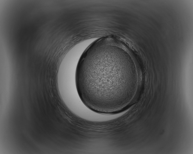 X0000085740750200703231110