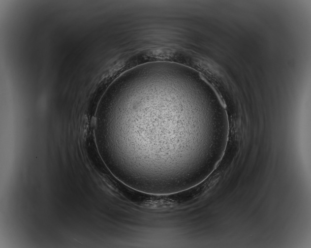 X0000085740752200703231110