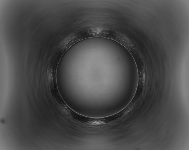X0000085740754200703231110