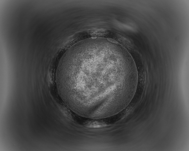 X0000085740755200703231110