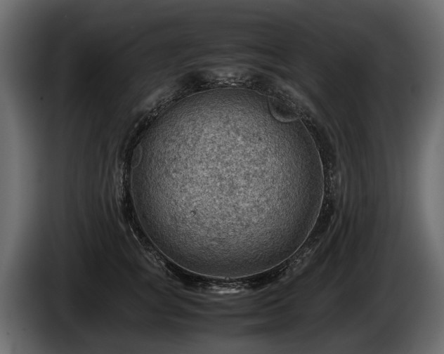 X0000085740757200703231110