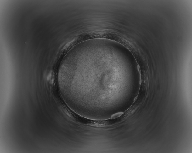 X0000085740758200703231110