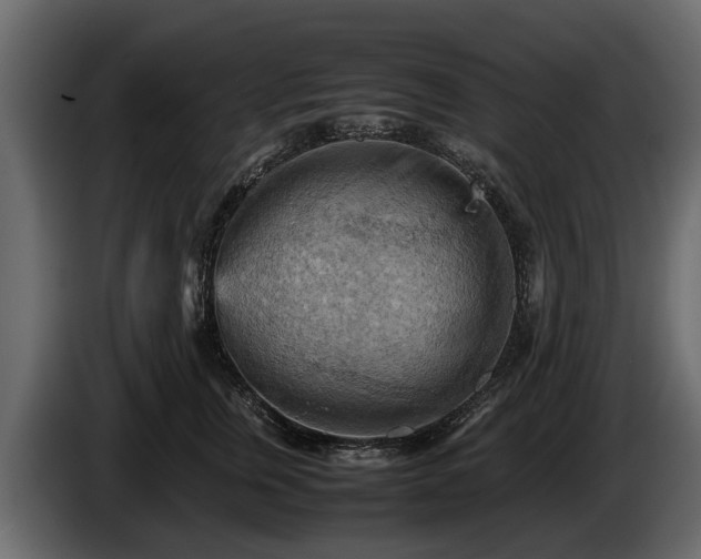 X0000085740759200703231110