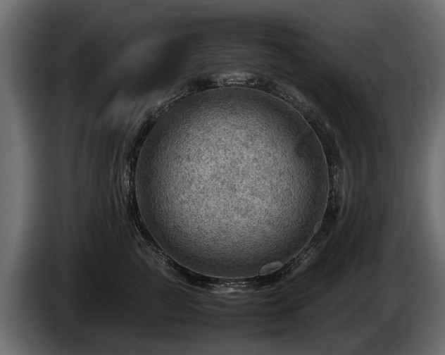 X0000085740761200703231110