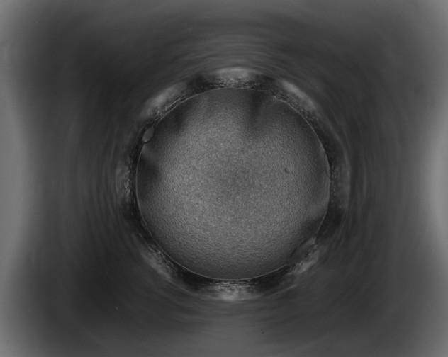 X0000085740762200703231110
