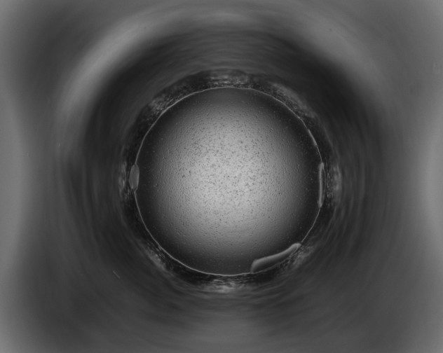 X0000085740764200703231110